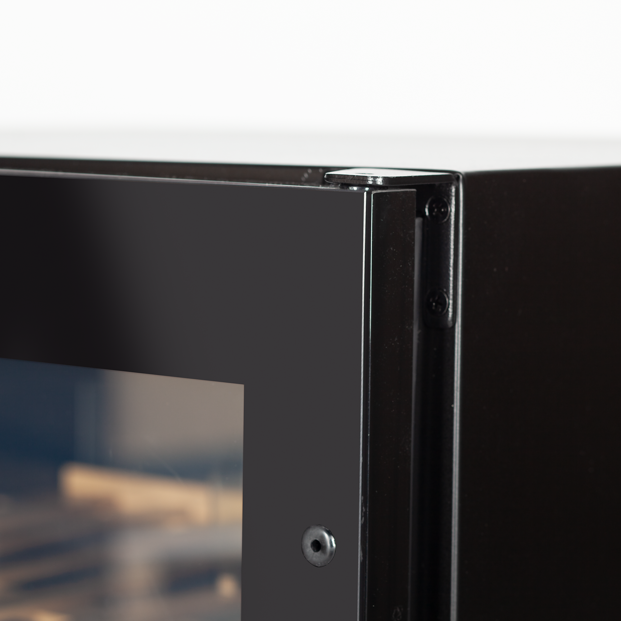 "Frameless Glass Door"